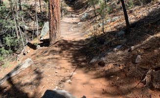 Karla Y.'s photo of camping with pets at Jemez Falls Campground near Lindrith, NM