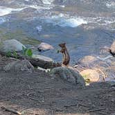Review photo of Dearhamer Campground by Karla Y., June 23, 2021