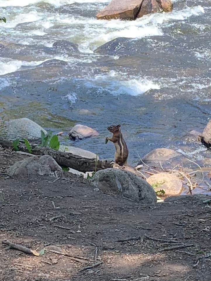 Camper submitted image from Dearhamer Campground - 3