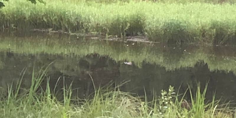 Camper submitted image from Jackson County East Arbutus Campground