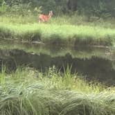 Review photo of Jackson County East Arbutus Campground by Michael  L., June 23, 2021