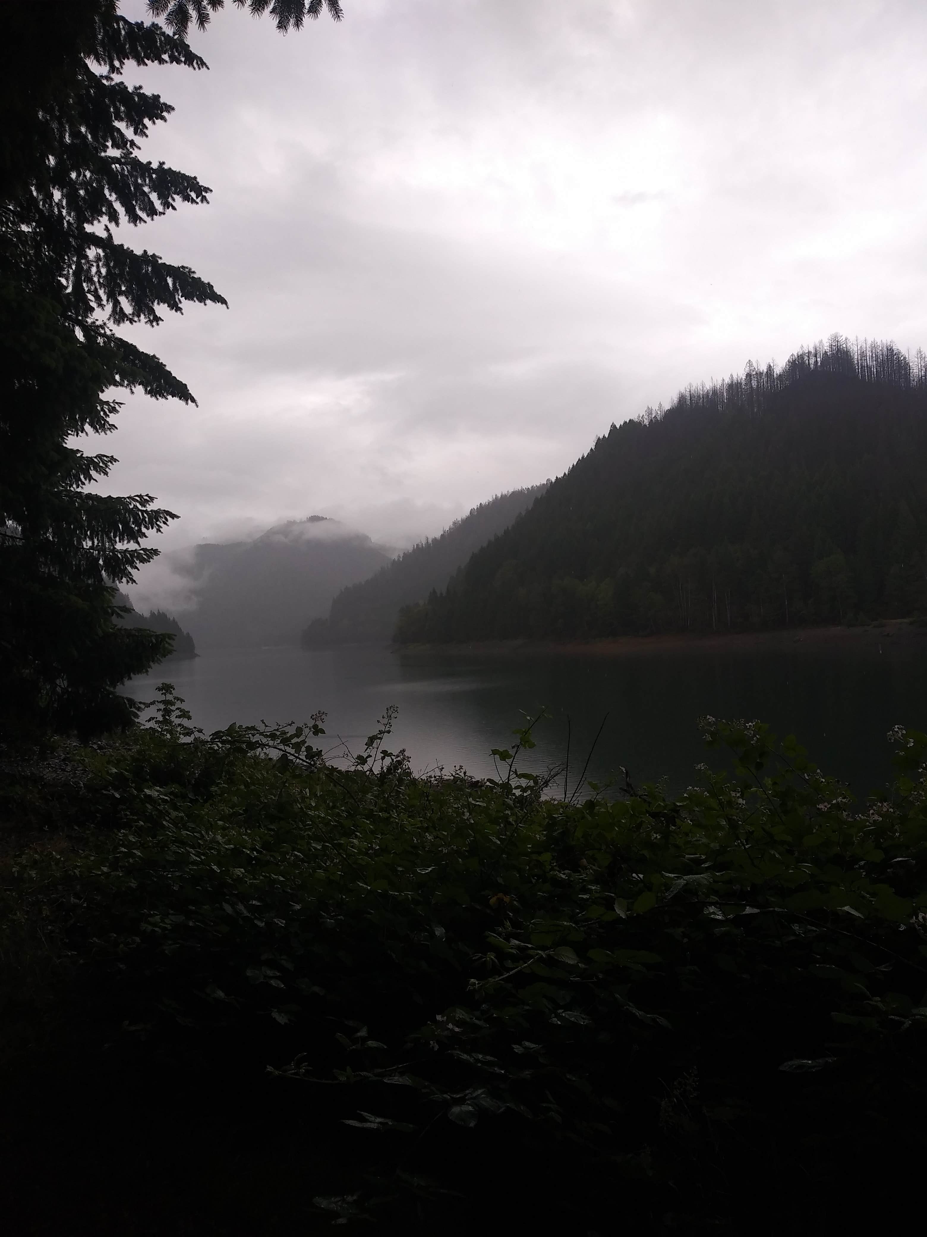 Melissa M.'s photo of a dispersed camping area at Blue River Reservoir Roadside Camping near Lebanon, OR