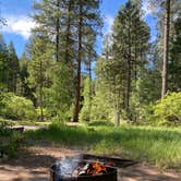 Review photo of Vallecito Campground by JoceTurner , June 23, 2021