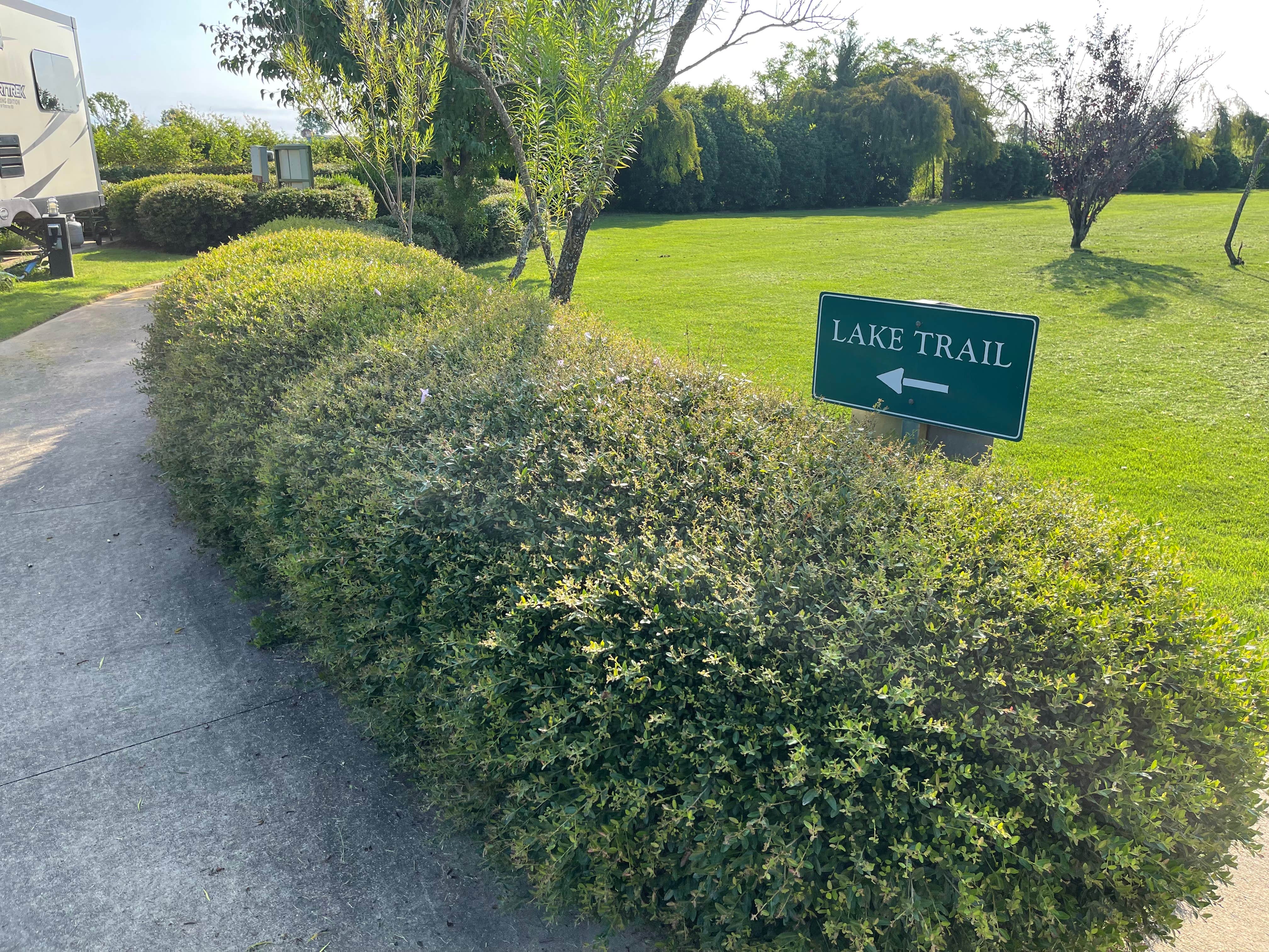 Camper-submitted photo at KE Bushman's Camp near Flint, TX