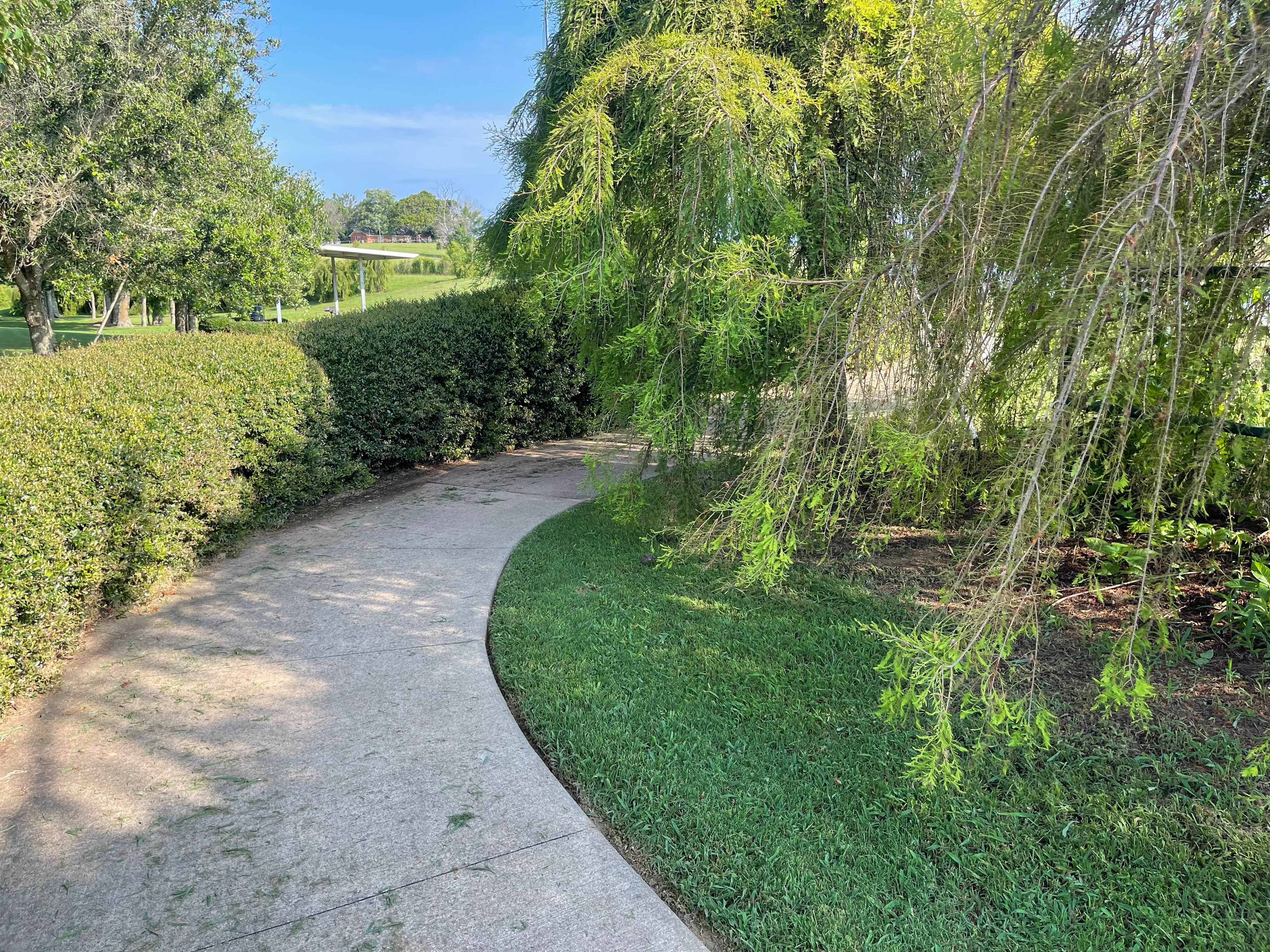 Camper-submitted photo at KE Bushman's Camp near Flint, TX