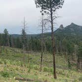 Review photo of Winiger Ridge at Gross Reservoir by Sarah D., June 23, 2021