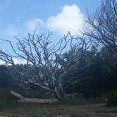 Review photo of Atlantic Beach Campground — Fort Clinch State Park by Christy F., June 23, 2021