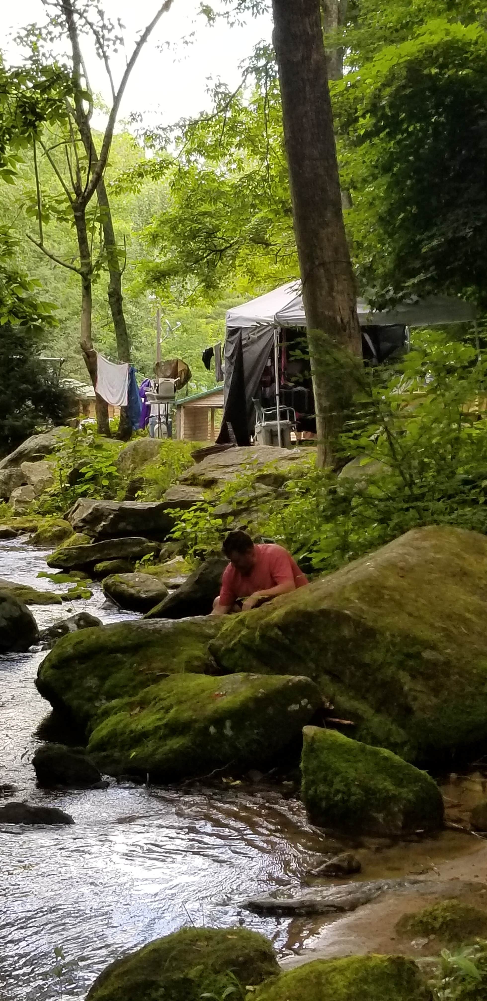 Ronnie N.'s photo at Creekside Mountain Camping near Swannanoa, NC