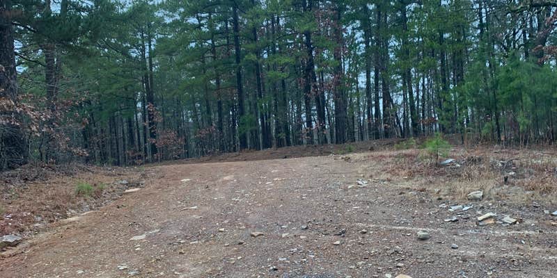 Camper submitted image from Big Brushy