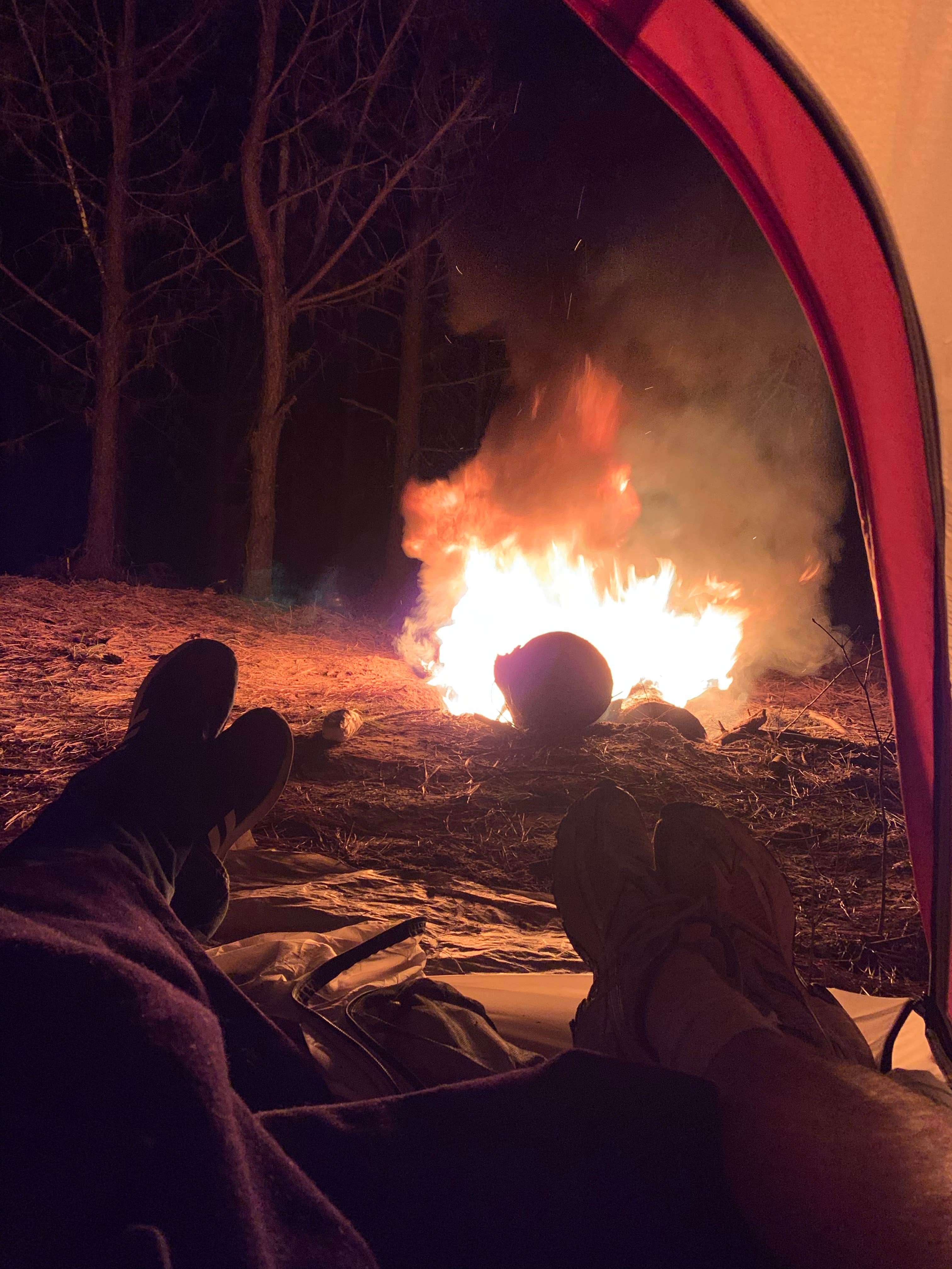 Brad C.'s photo at Big Brushy near Oden, AR