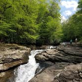 Review photo of Kentuck Campground — Ohiopyle State Park by rich  E., June 11, 2018