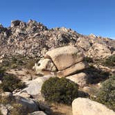 Review photo of Mojave Cross Dispersed — Mojave National Preserve by Brad C., June 23, 2021