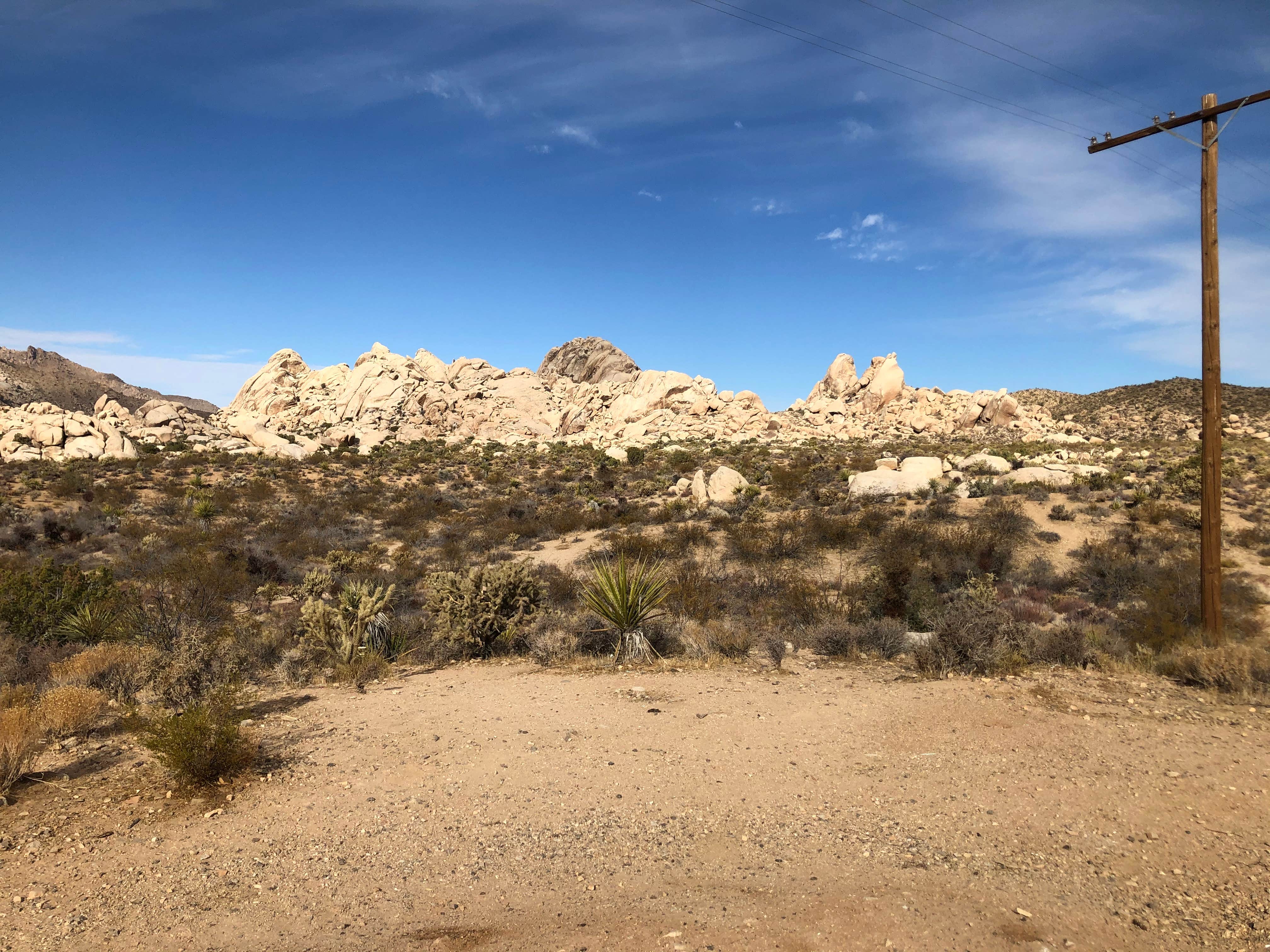 Best camping in Mojave National Preserve The Dyrt