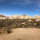 Review photo of Mojave Cross Dispersed — Mojave National Preserve by Brad C., June 23, 2021