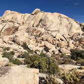 Review photo of Mojave Cross Dispersed — Mojave National Preserve by Brad C., June 23, 2021