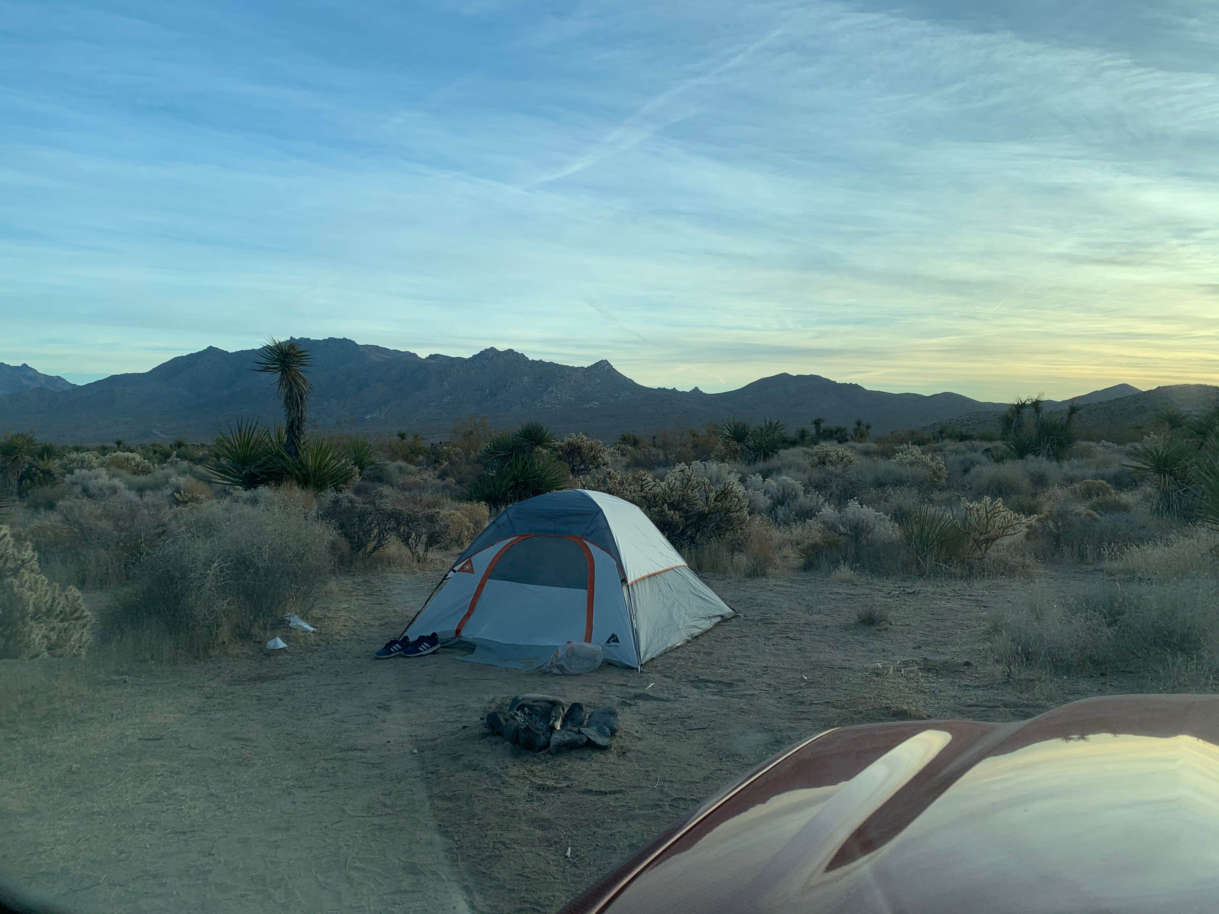 Brad C.'s photo at Mojave Cross Dispersed — Mojave National Preserve near Baker, CA