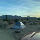 Review photo of Mojave Cross Dispersed — Mojave National Preserve by Brad C., June 23, 2021