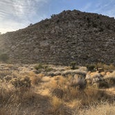 Review photo of Mojave Cross Dispersed — Mojave National Preserve by Brad C., June 23, 2021