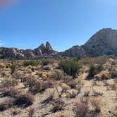 Review photo of Mojave Cross Dispersed — Mojave National Preserve by Brad C., June 23, 2021