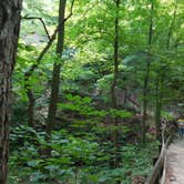 Review photo of Starved Rock Campground — Starved Rock State Park by Debra M., June 23, 2021