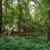 Review photo of Starved Rock Campground — Starved Rock State Park by Debra M., June 23, 2021