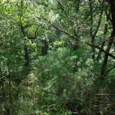 Review photo of Starved Rock Campground — Starved Rock State Park by Debra M., June 23, 2021