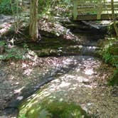 Review photo of Starved Rock Campground — Starved Rock State Park by Debra M., June 23, 2021