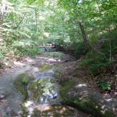 Review photo of Starved Rock Campground — Starved Rock State Park by Debra M., June 23, 2021