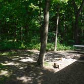 Review photo of Starved Rock Campground — Starved Rock State Park by Debra M., June 23, 2021