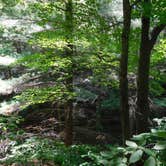 Review photo of Starved Rock Campground — Starved Rock State Park by Debra M., June 23, 2021