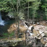 Review photo of Kentuck Campground — Ohiopyle State Park by rich  E., June 11, 2018