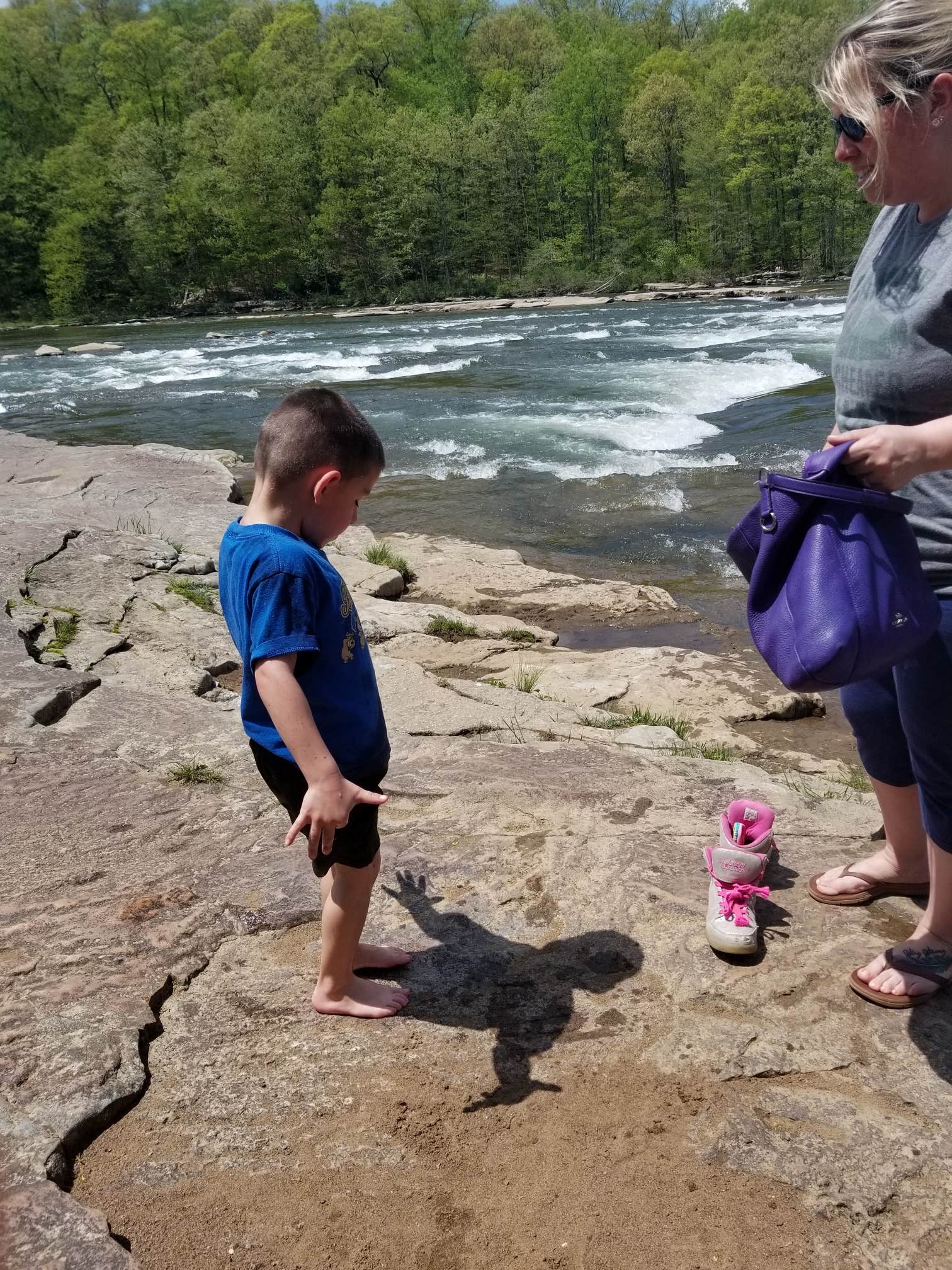 rich  E.'s photo of camping with pets at Kentuck Campground — Ohiopyle State Park near Morgantown, WV