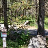 Review photo of Riverside Campground by Nancy C., June 7, 2021