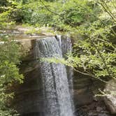 Review photo of Kentuck Campground — Ohiopyle State Park by rich  E., June 11, 2018