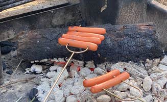 Ramos's photo of camping with pets at Lake Livingston State Park Campground near Coldspring, TX