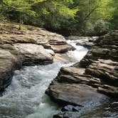Review photo of Kentuck Campground — Ohiopyle State Park by rich  E., June 11, 2018