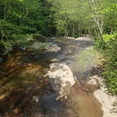 Review photo of Kentuck Campground — Ohiopyle State Park by rich  E., June 11, 2018