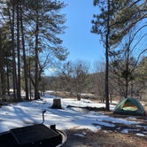 Review photo of El Prado Campground by Kyle C., June 23, 2021