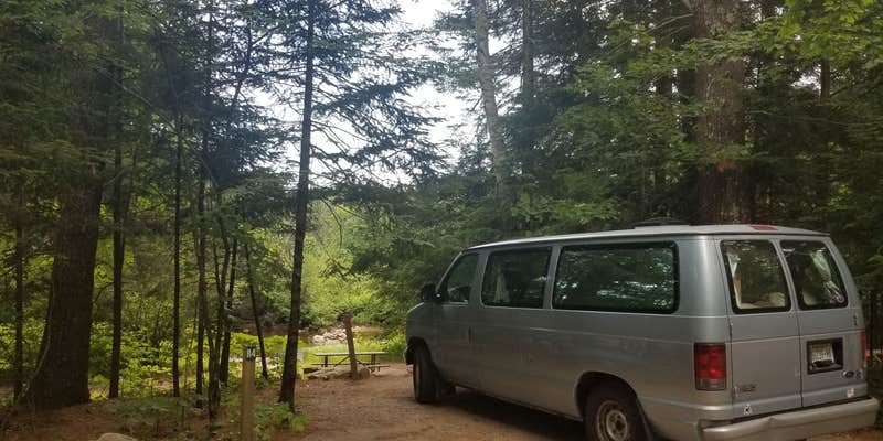 Camper submitted image from Pine Haven