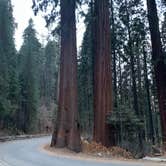 Review photo of South Fork Campground — Sequoia National Park by Brad C., June 23, 2021