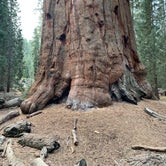 Review photo of South Fork Campground — Sequoia National Park by Brad C., June 23, 2021