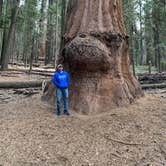 Review photo of South Fork Campground — Sequoia National Park by Brad C., June 23, 2021