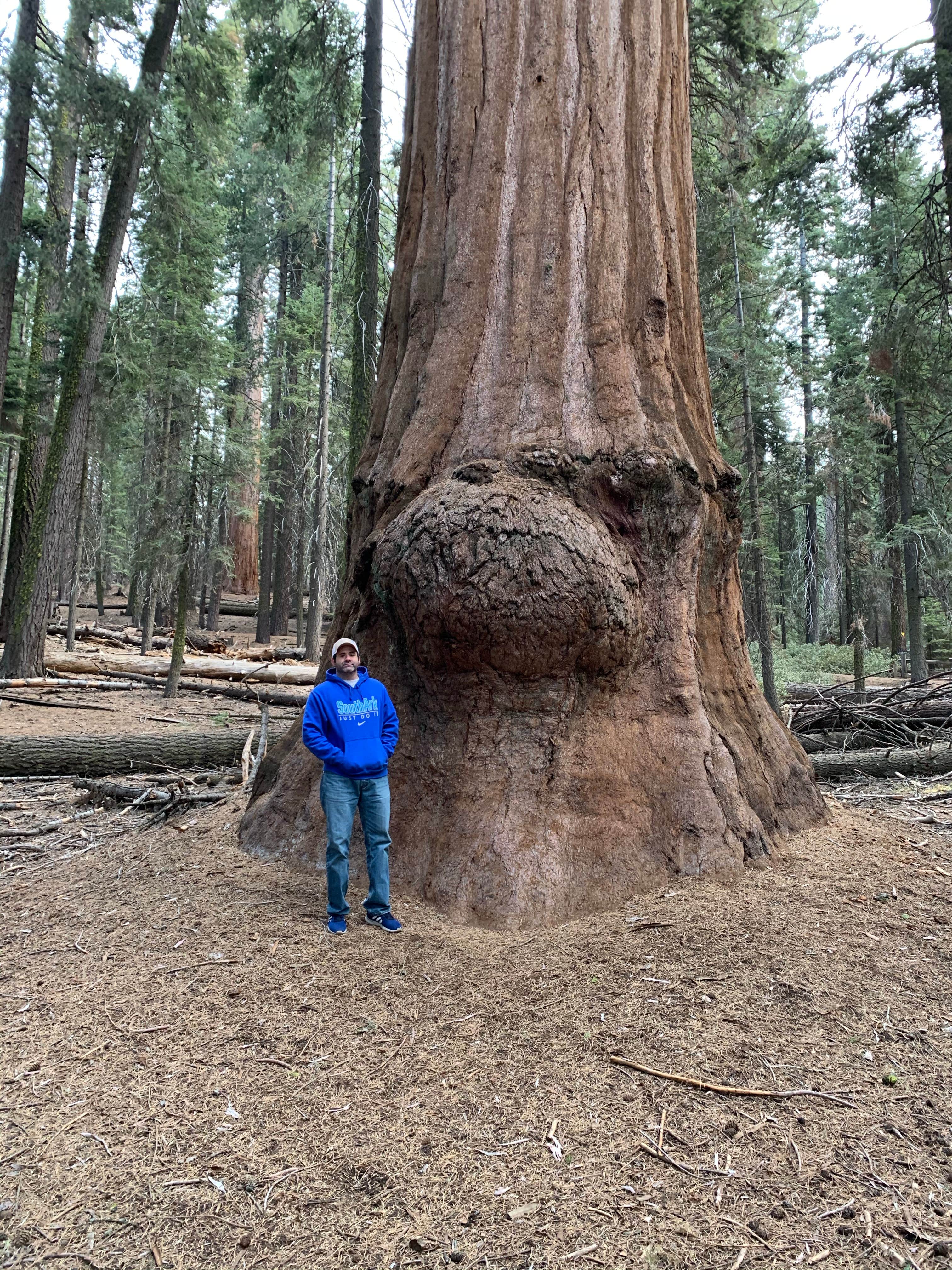 Camper submitted image from South Fork Campground — Sequoia National Park - 5