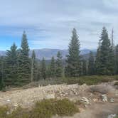 Review photo of Sentinel Campground — Kings Canyon National Park by Brad C., June 23, 2021