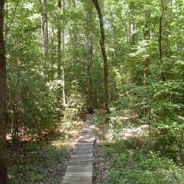 White Oak Lake State Park Campground