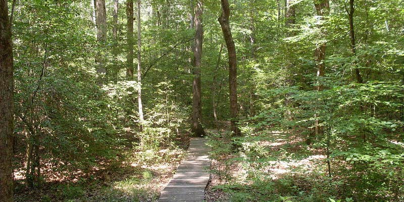 Camper submitted image from White Oak Lake State Park Campground