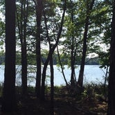 Review photo of White Oak Lake State Park Campground by Brad C., June 23, 2021