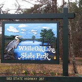 Review photo of White Oak Lake State Park Campground by Brad C., June 23, 2021