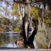 Review photo of White Oak Lake State Park by Brad C., June 23, 2021