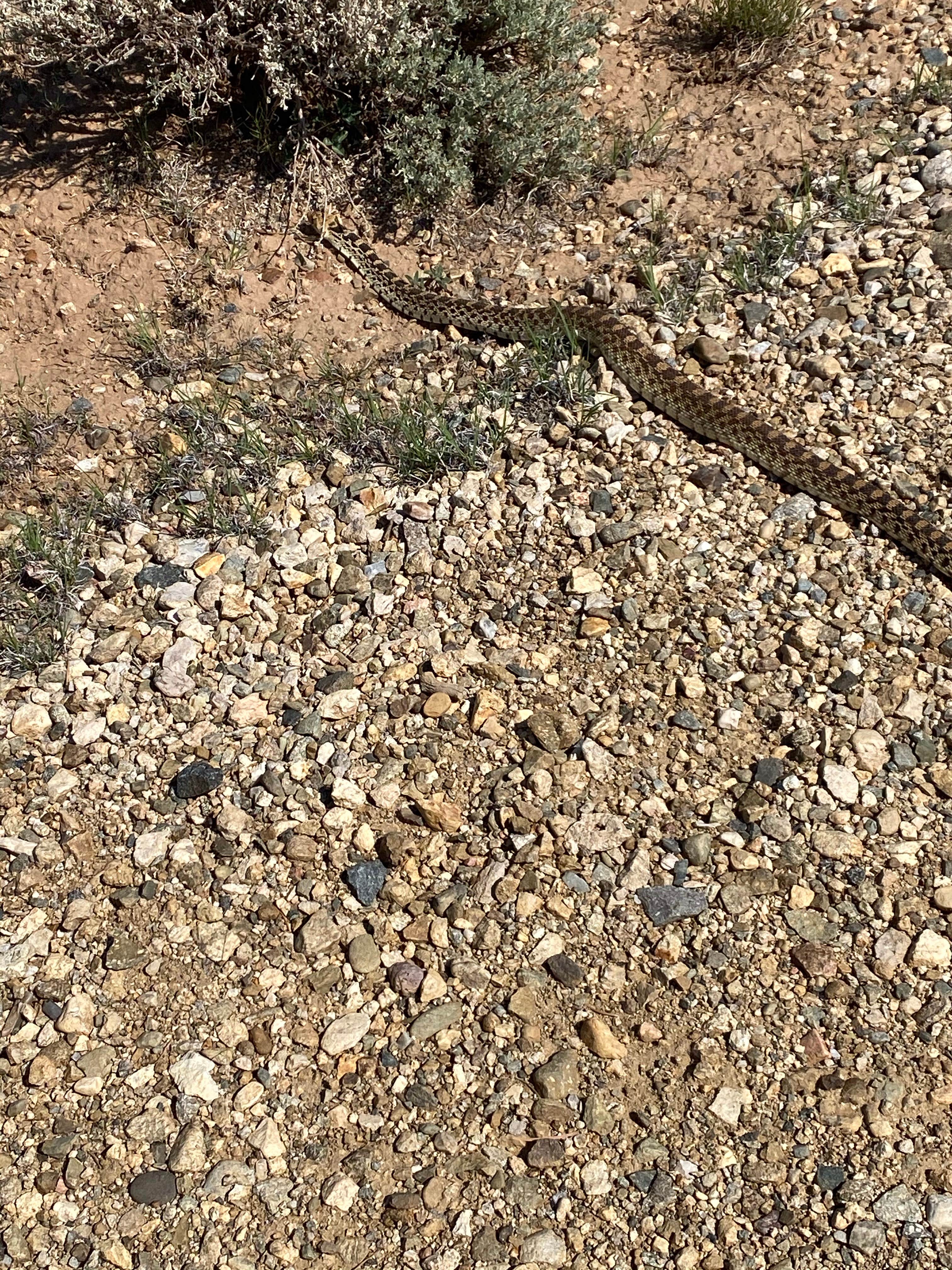 Camper submitted image from Rio Grande del Norte National Monument - 3